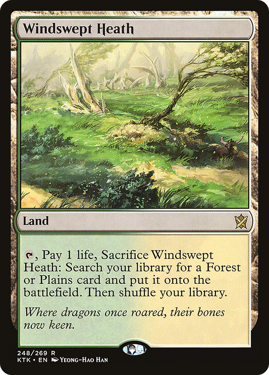MTG PROXY Windswept Heath